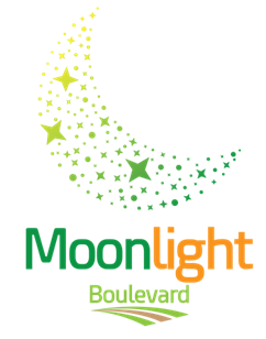 Moonlight Boulevard - Sống viên mãn trọn yêu thương