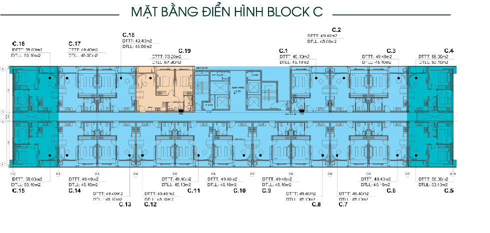  Mặt bằng tàng điển hình Block C