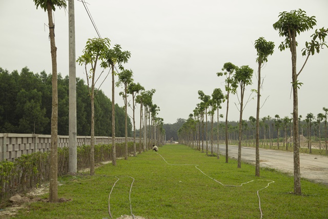 Hoa viên 5 sao đầu tiên tại Việt Nam dự án Sala Garden