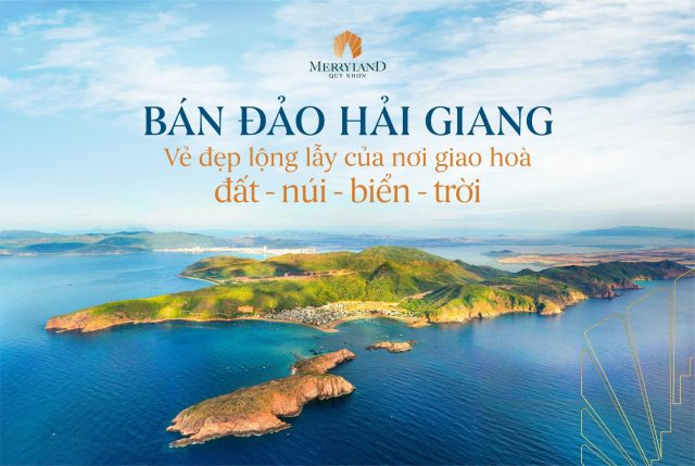 Thông tin dự án marryhome quy nhơn - vẻ đẹp hải giang